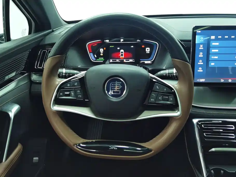 BYD Tang New Energy — миниатюра 15