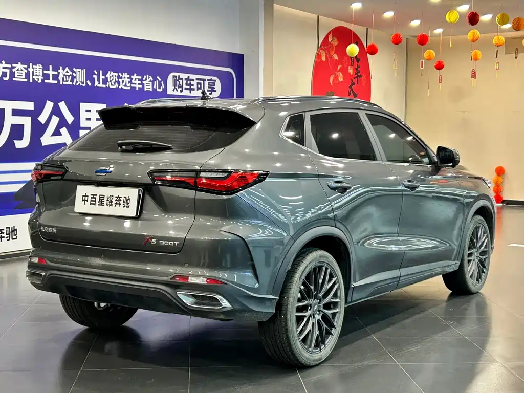 Oshan Oushang X5 — миниатюра 6