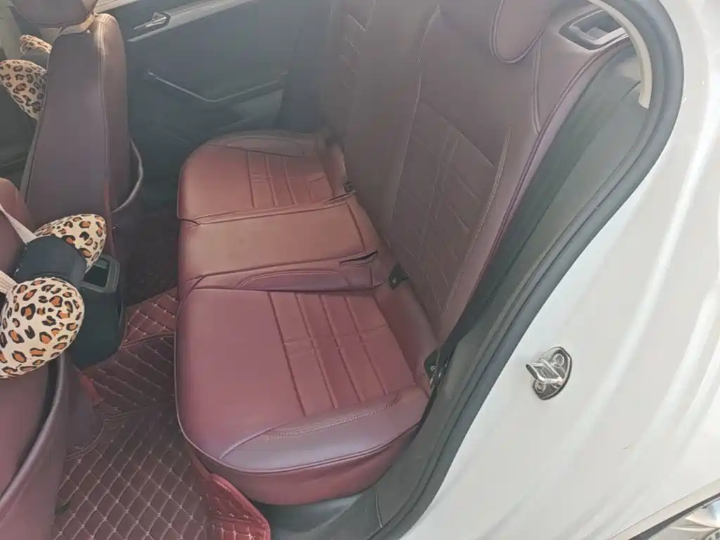 Volkswagen Lamando — миниатюра 17