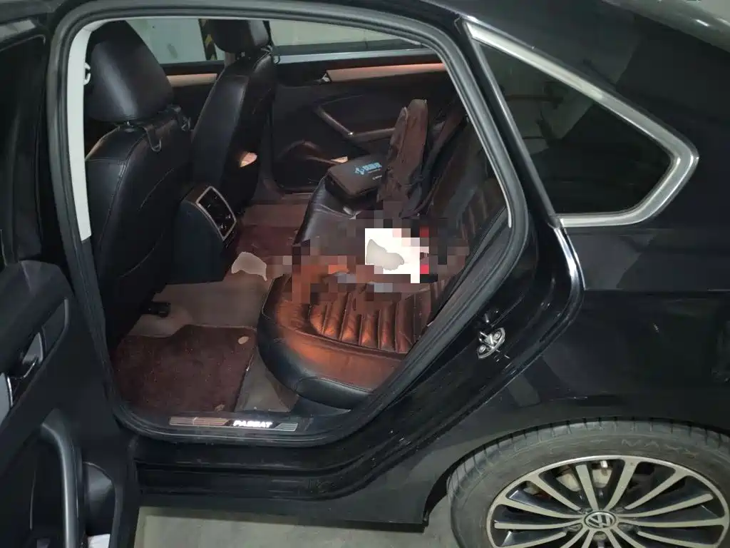 Volkswagen Passat — миниатюра 13