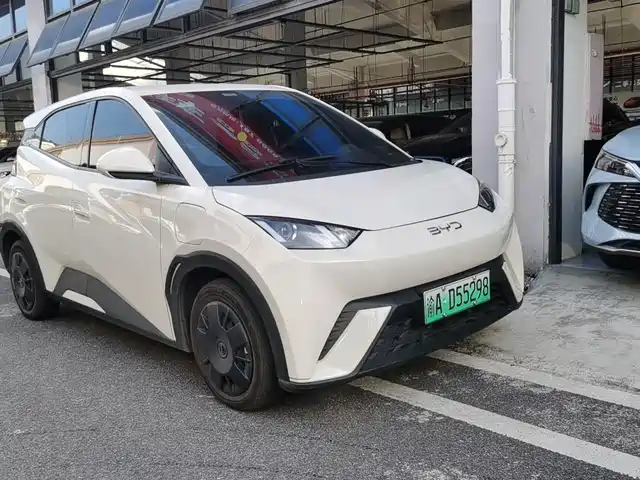 BYD Seagull