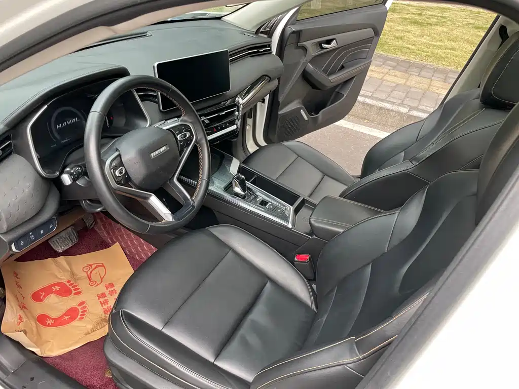 Haval Chitu — миниатюра 11