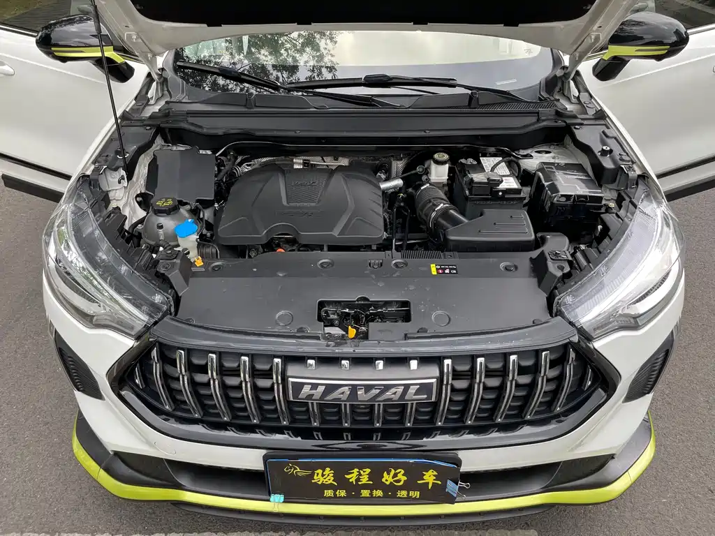 Haval Chitu — миниатюра 10