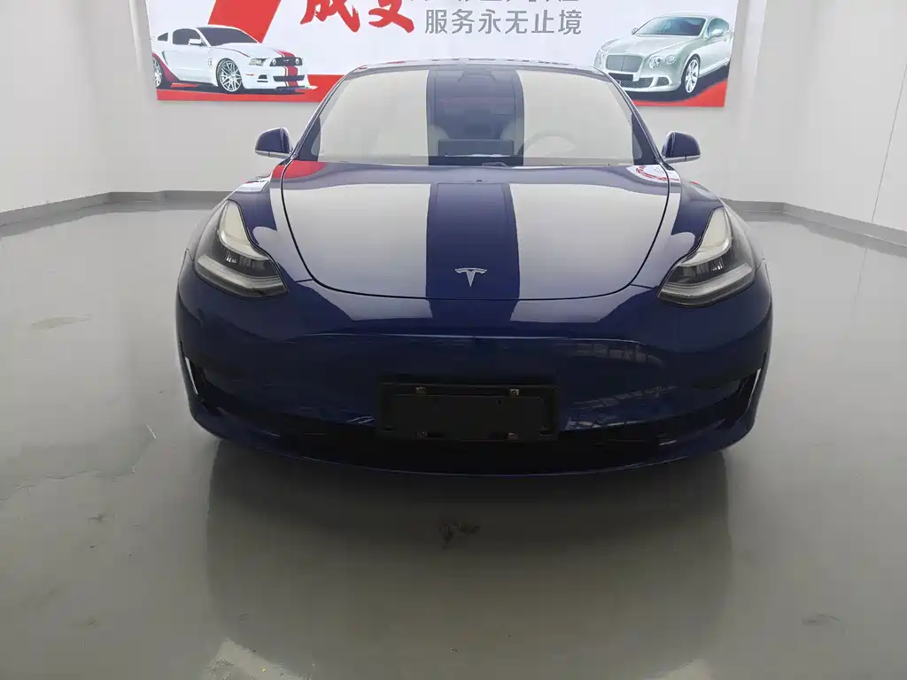 Tesla Model 3 — миниатюра 2