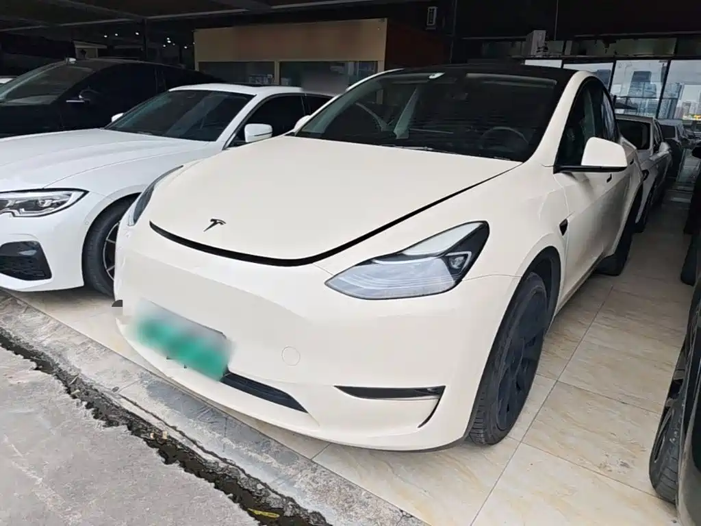 Tesla Model Y — миниатюра 2
