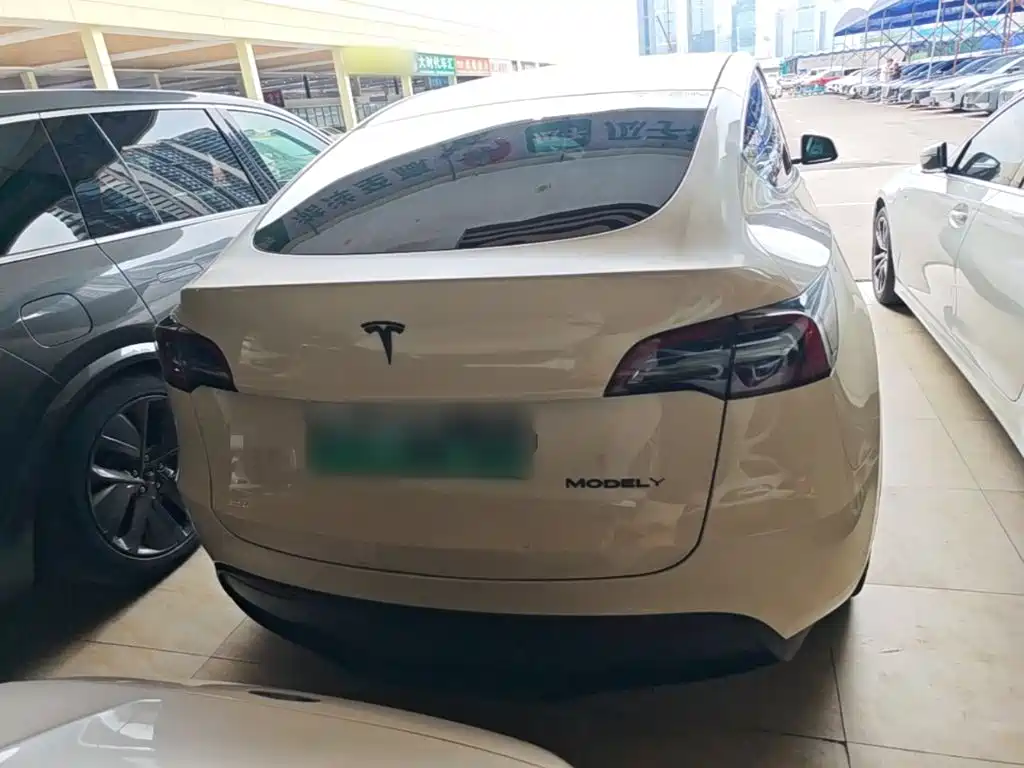 Tesla Model Y — миниатюра 6
