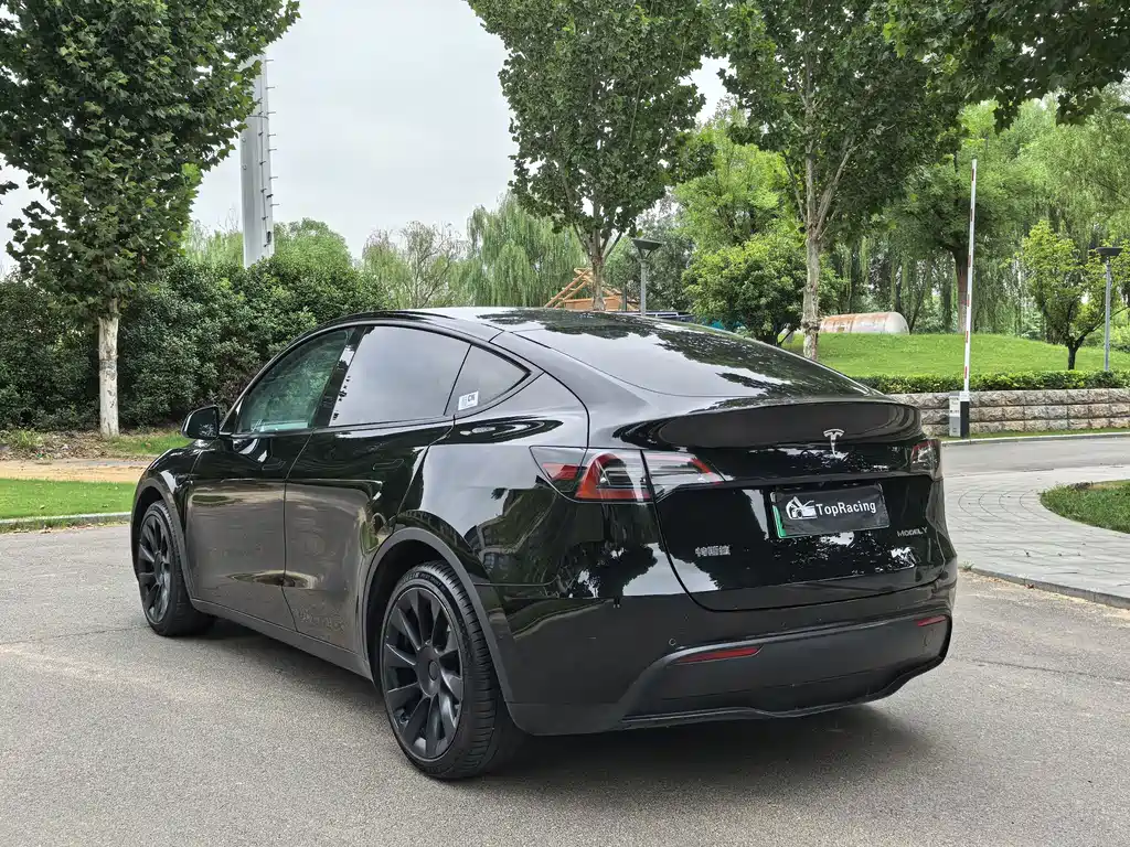Tesla Model Y — миниатюра 9