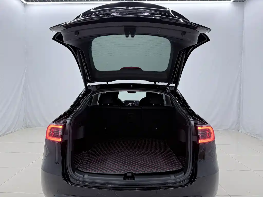 Tesla Model Y — миниатюра 15