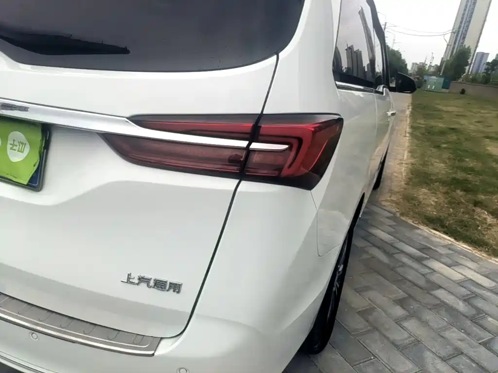 Buick GL8 — миниатюра 8