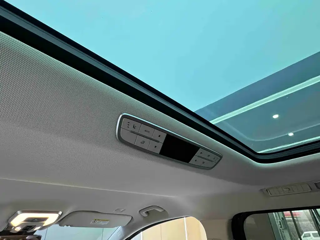 Hongqi HONGQI HQ9 PHEV