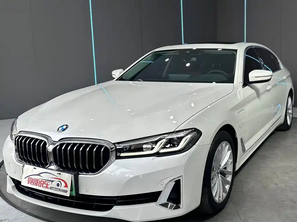BMW 5 Series New Energy 2021