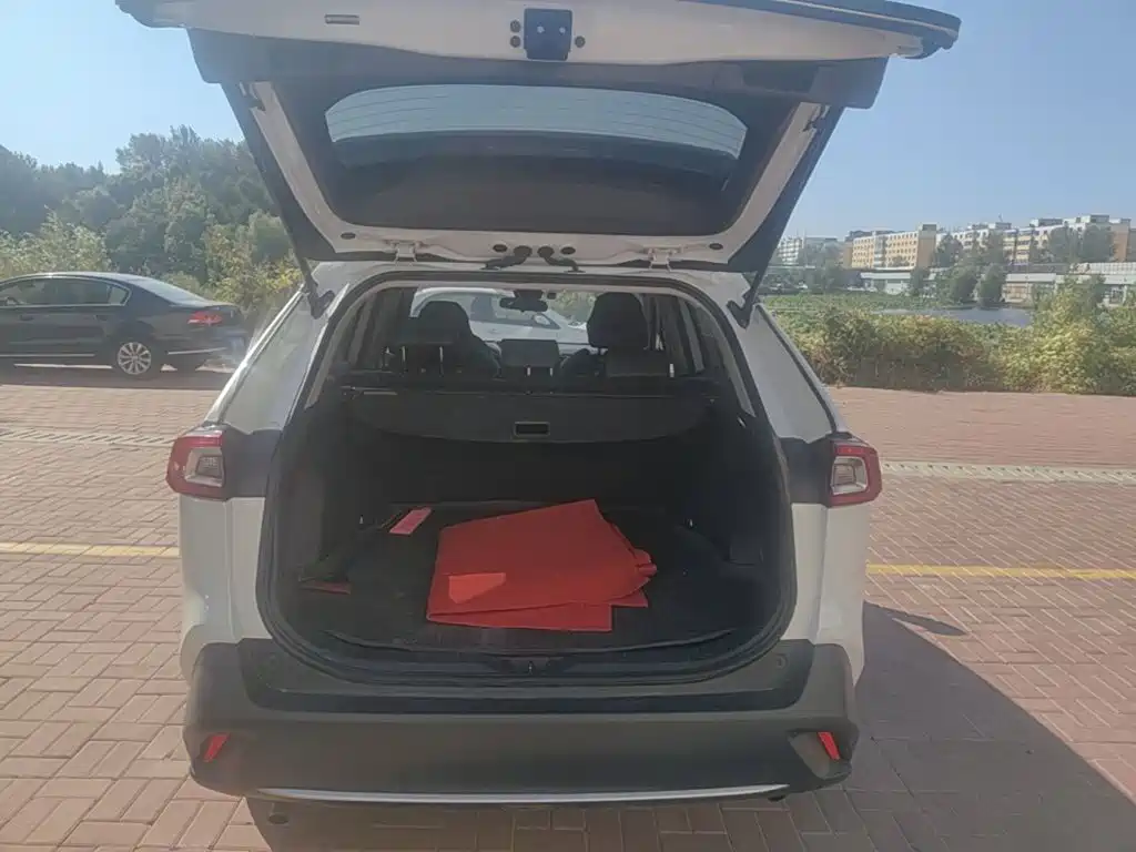 Toyota Wildlander — миниатюра 15