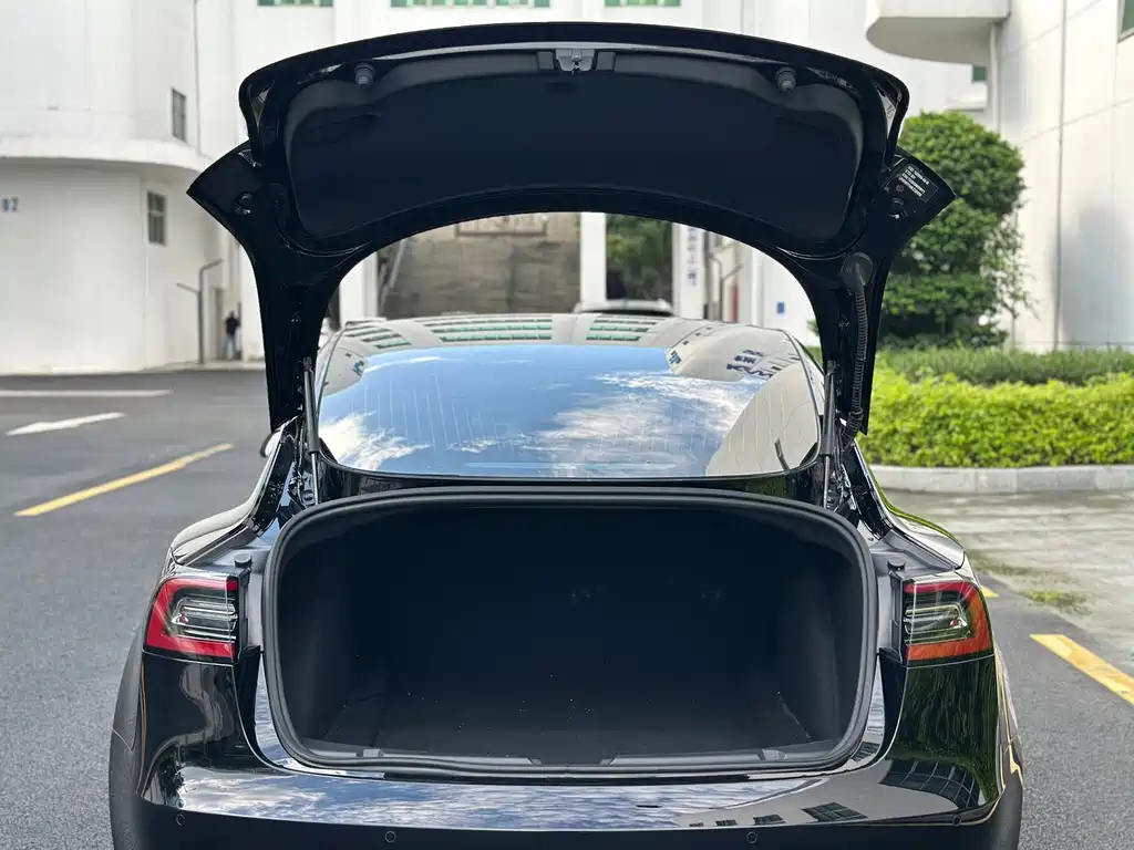 Tesla Model 3 — миниатюра 10