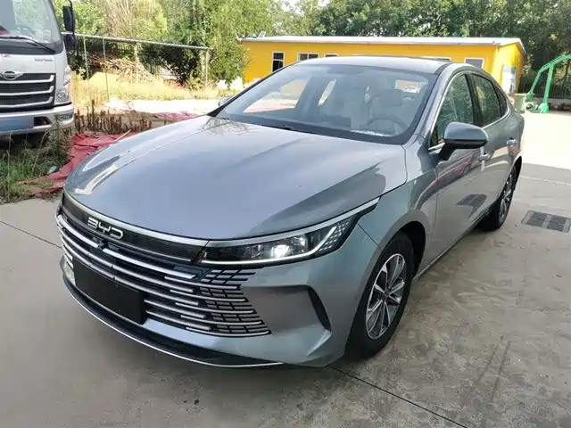 BYD DESTROYER 05 2025