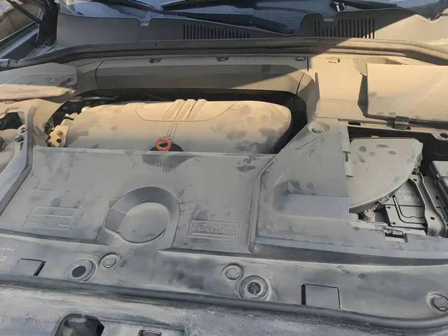 WEI PAI WEI BRAND VV5