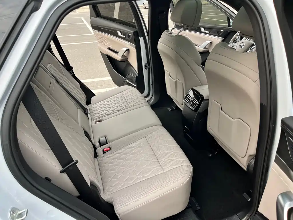 BYD Tang New Energy — миниатюра 15