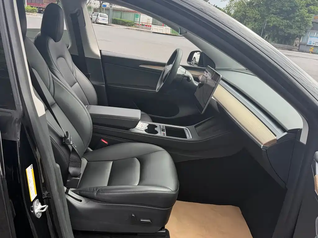 Tesla Model Y — миниатюра 9