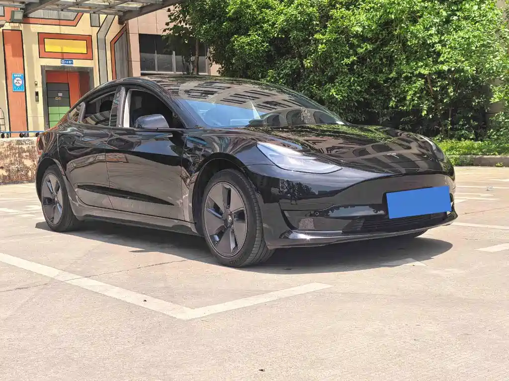 Tesla Model 3 — миниатюра 3