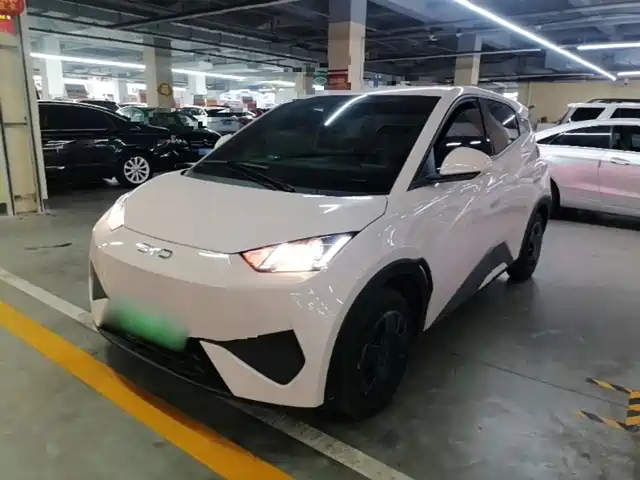 2026 BYD Seagull