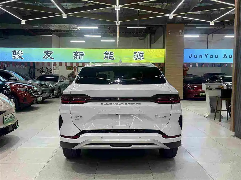BYD PLUS New Energy — миниатюра 13