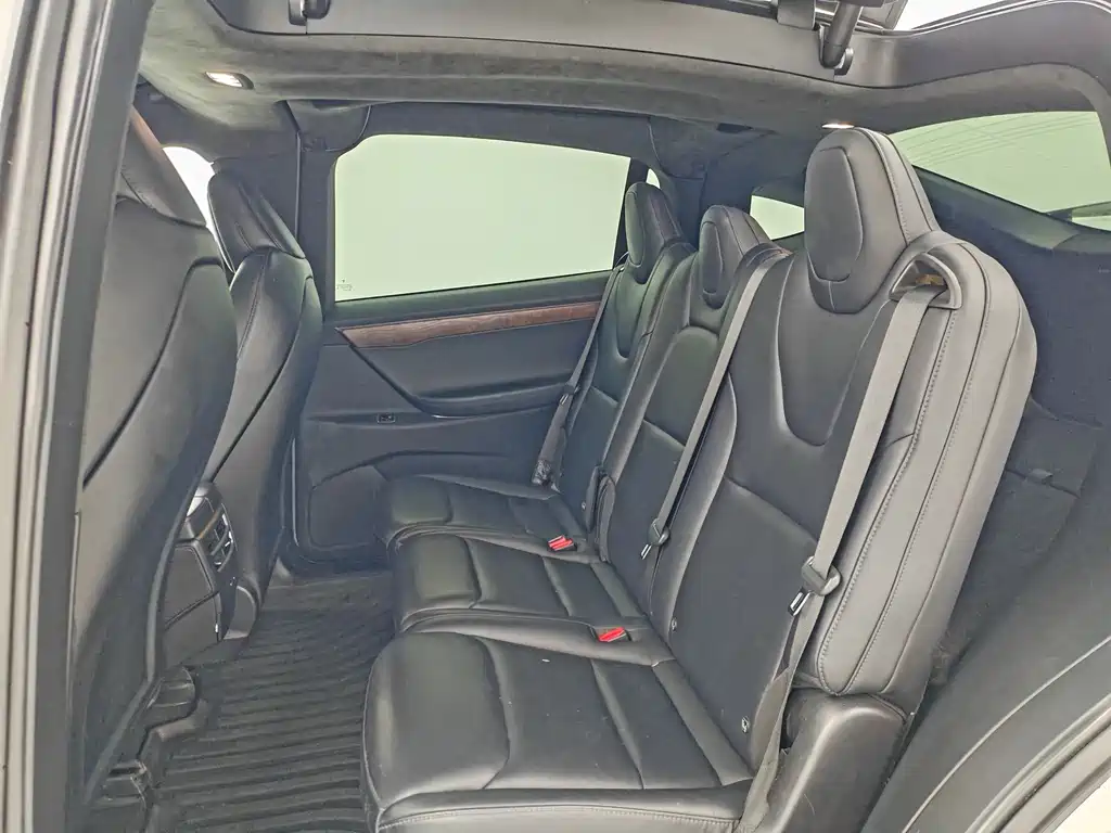 Tesla Model X — миниатюра 5