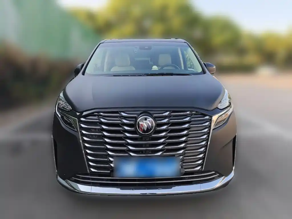 Buick GL8 — миниатюра 5