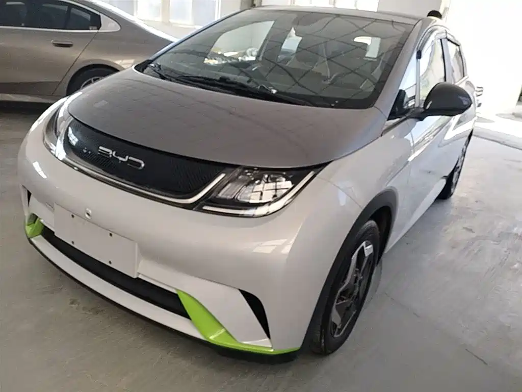 BYD Dolphin 2021 405km Fashion