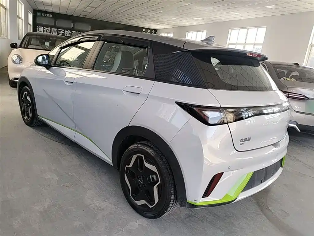 BYD Dolphin 2021 405km Fashion