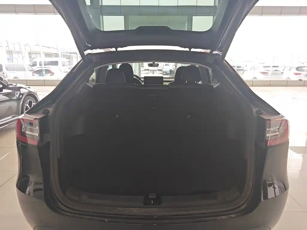 Tesla Model Y — миниатюра 19