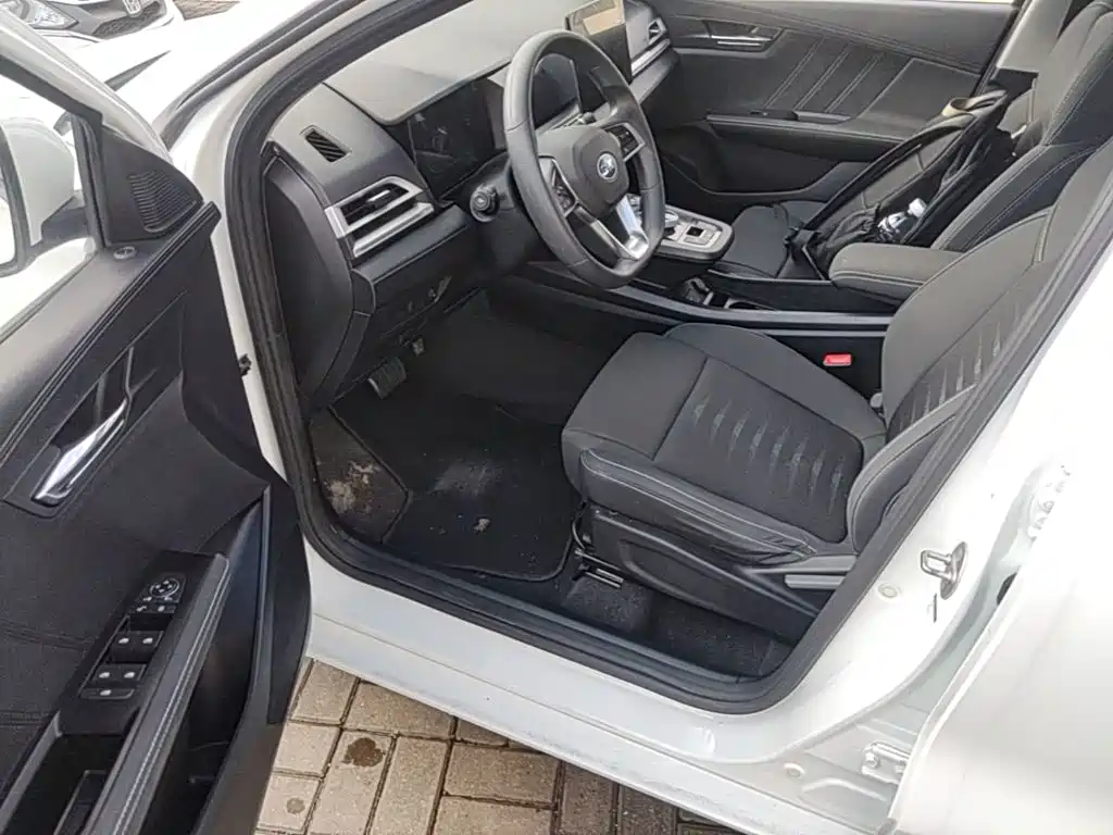 BYD e2 — миниатюра 16