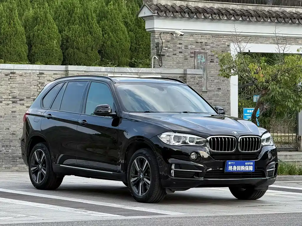 BMW X5 (Import) — миниатюра 2