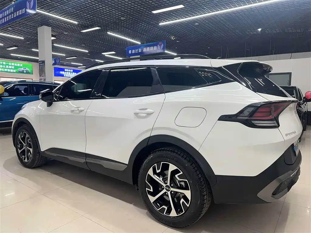 KIA LION PLATINUM EXPANDS THE WORLD