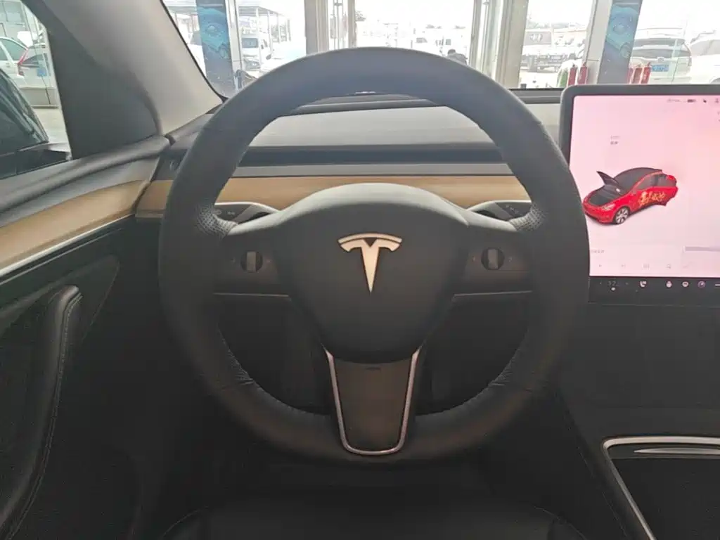 Tesla Model Y — миниатюра 11