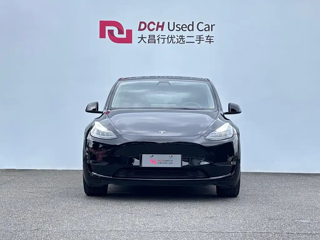 Tesla Model Y — миниатюра 2