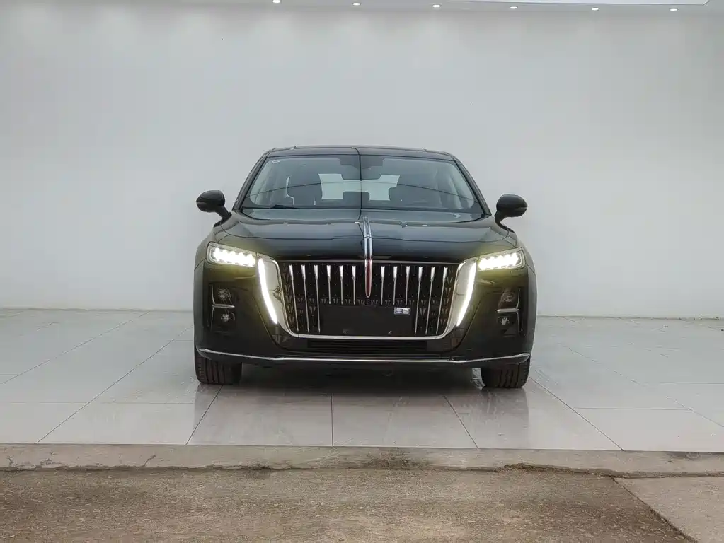 Hongqi Hongqi H5 — миниатюра 2