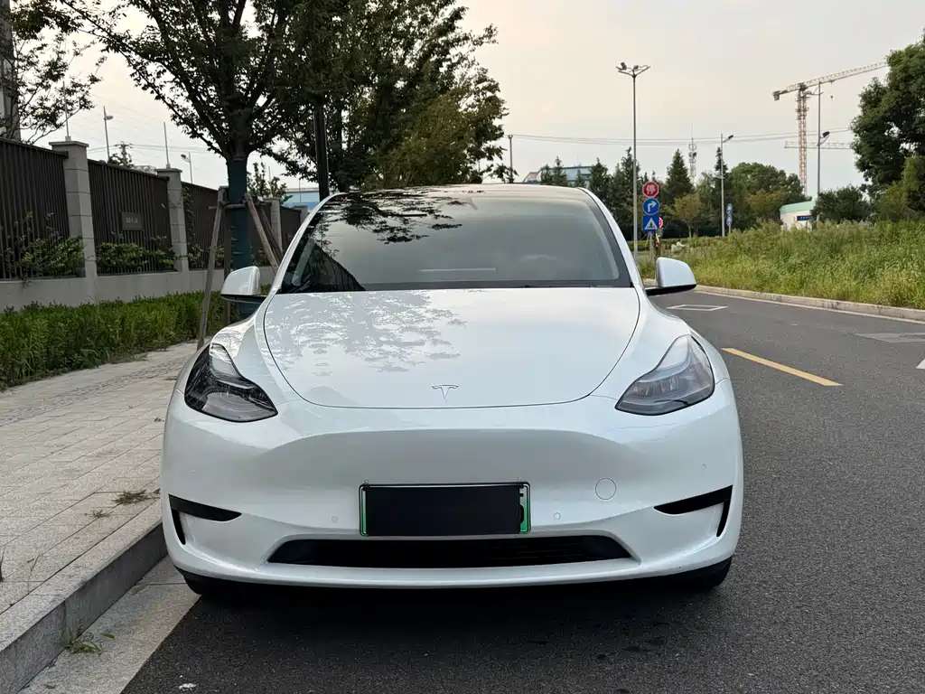 Tesla Model Y — миниатюра 2