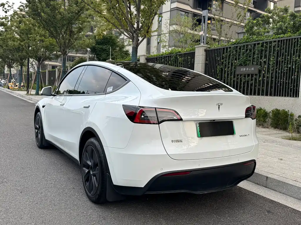 Tesla Model Y — миниатюра 4