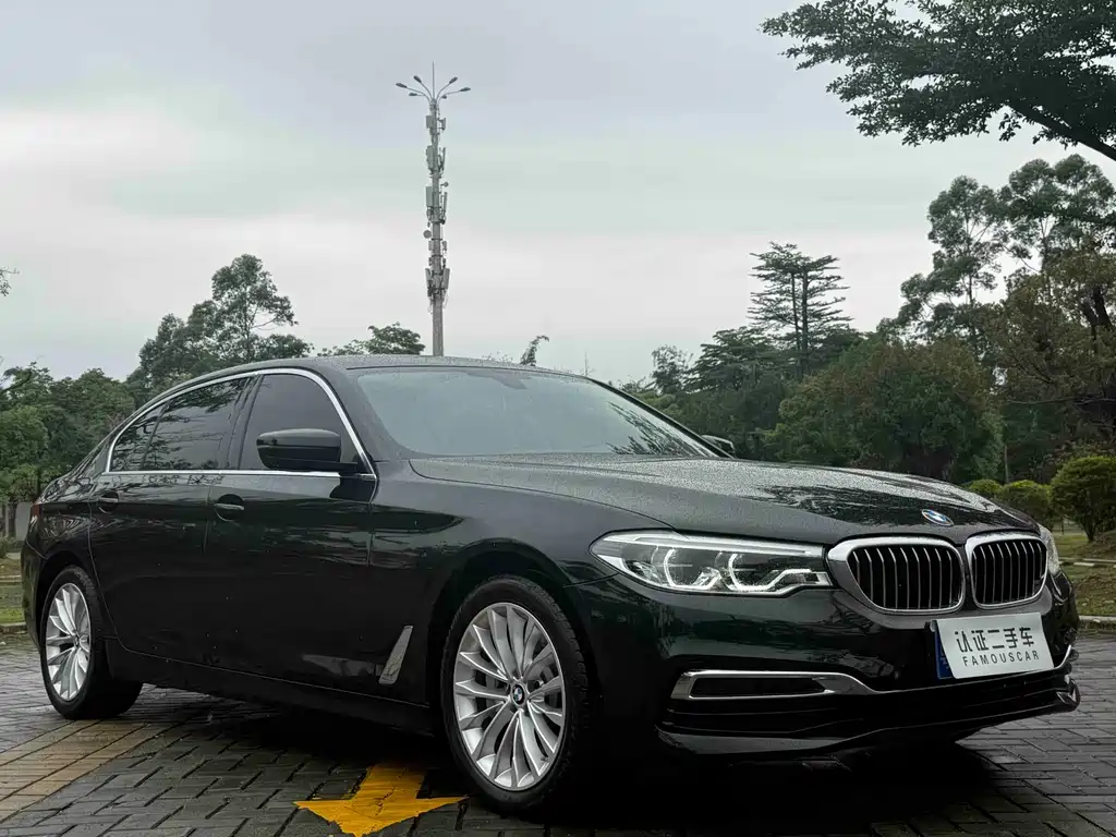 BMW 5 Series 5 2020 530Li Premium Luxury