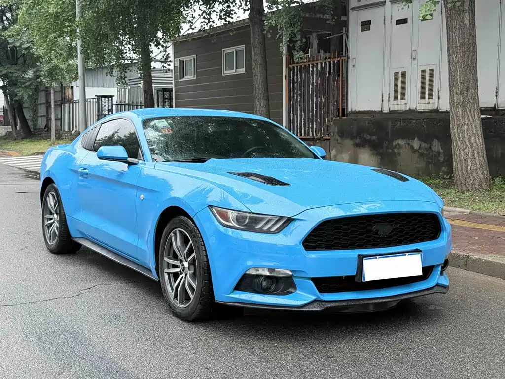 Ford Mustang — миниатюра 3