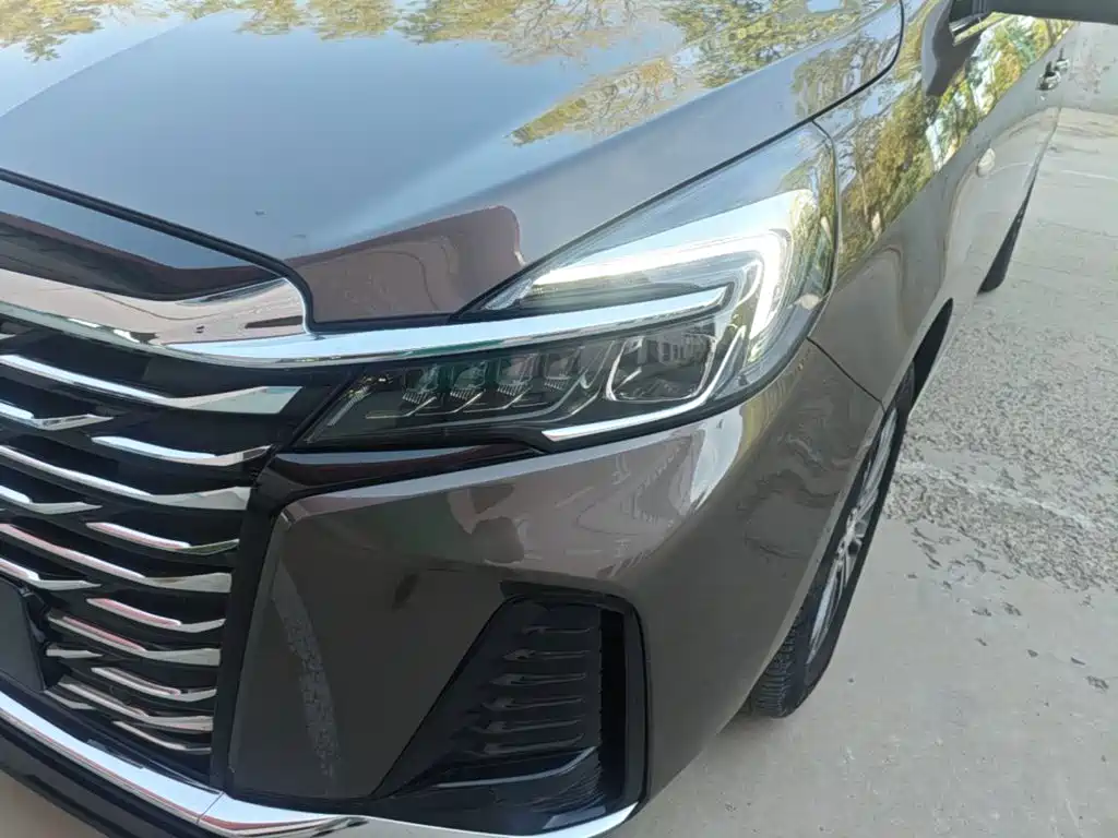 Buick GL8 — миниатюра 18