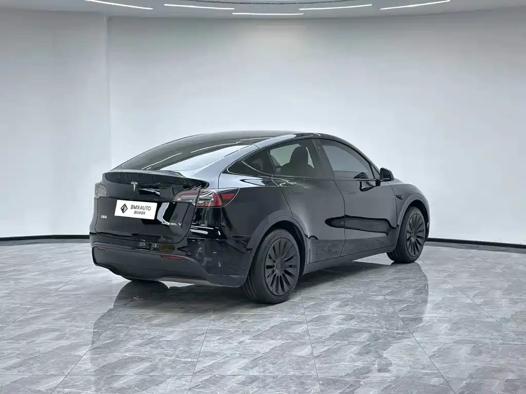 Tesla Model Y — миниатюра 4
