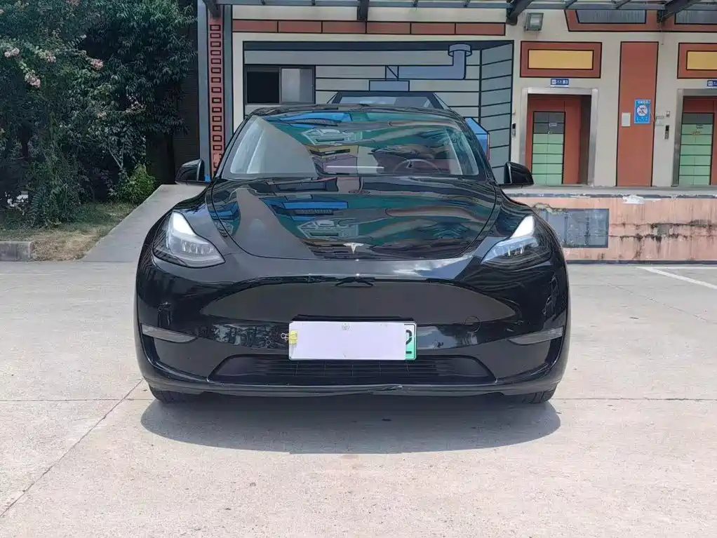Tesla Model Y — миниатюра 2