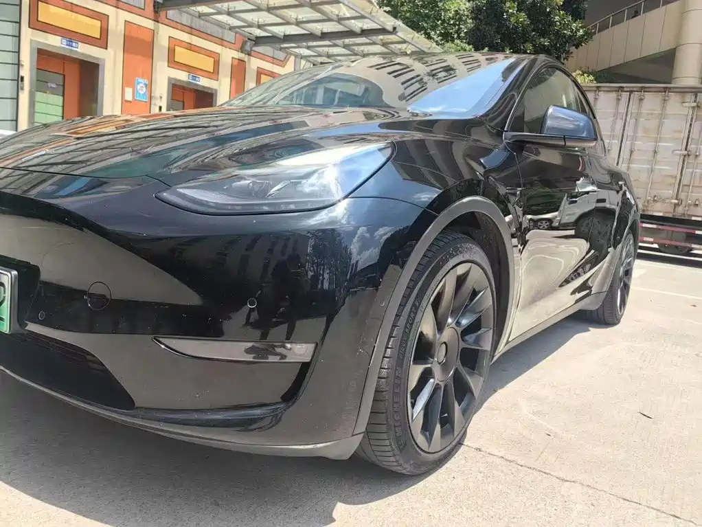 Tesla Model Y — миниатюра 4