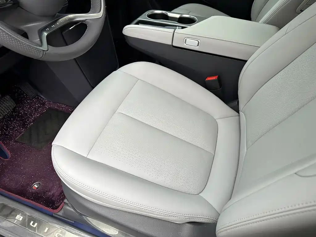 Buick GL8 — миниатюра 8