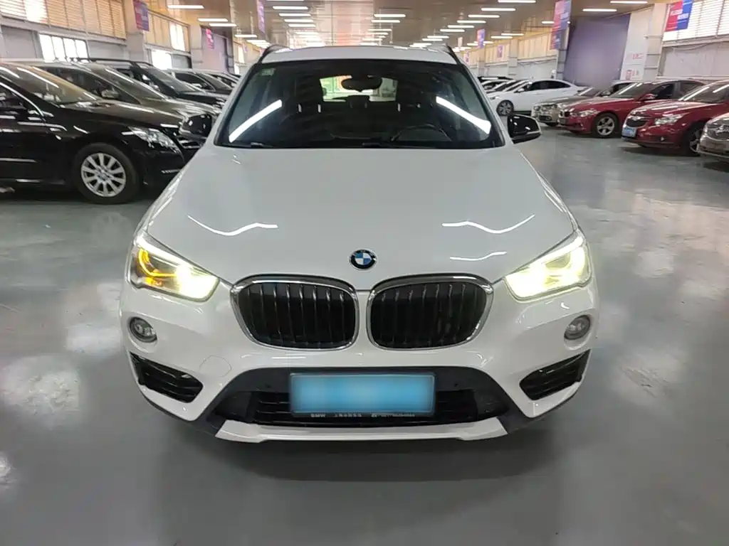 BMW X1 — миниатюра 3