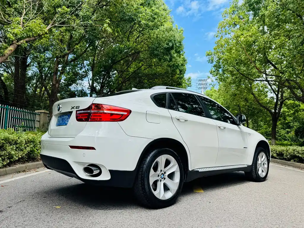 BMW X6 — миниатюра 14
