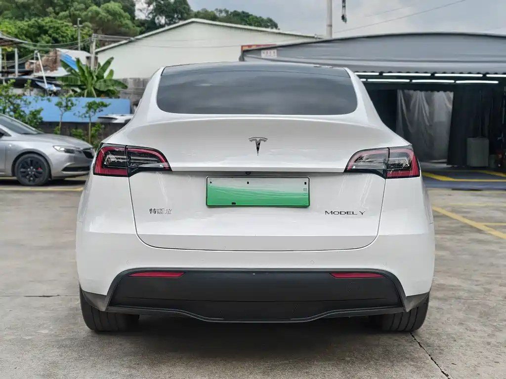 Tesla Model Y — миниатюра 9