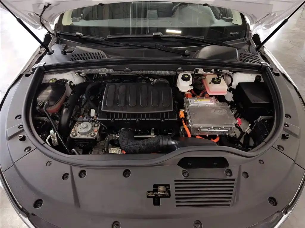 BYD Tang 2020 DM 2.0T Luxury 7 мест VI
