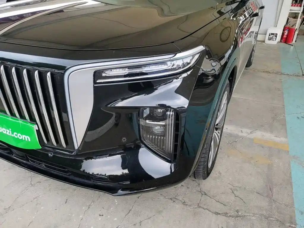 Hongqi Hongqi E-HS9 — миниатюра 24