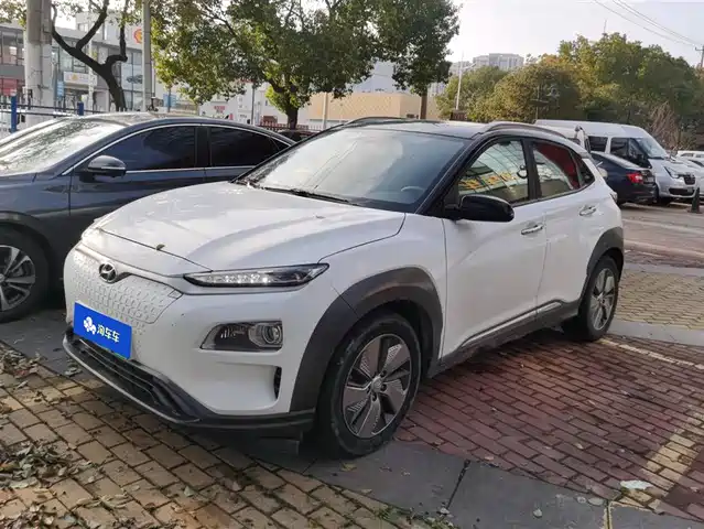 hyundai anxino-pure-electric